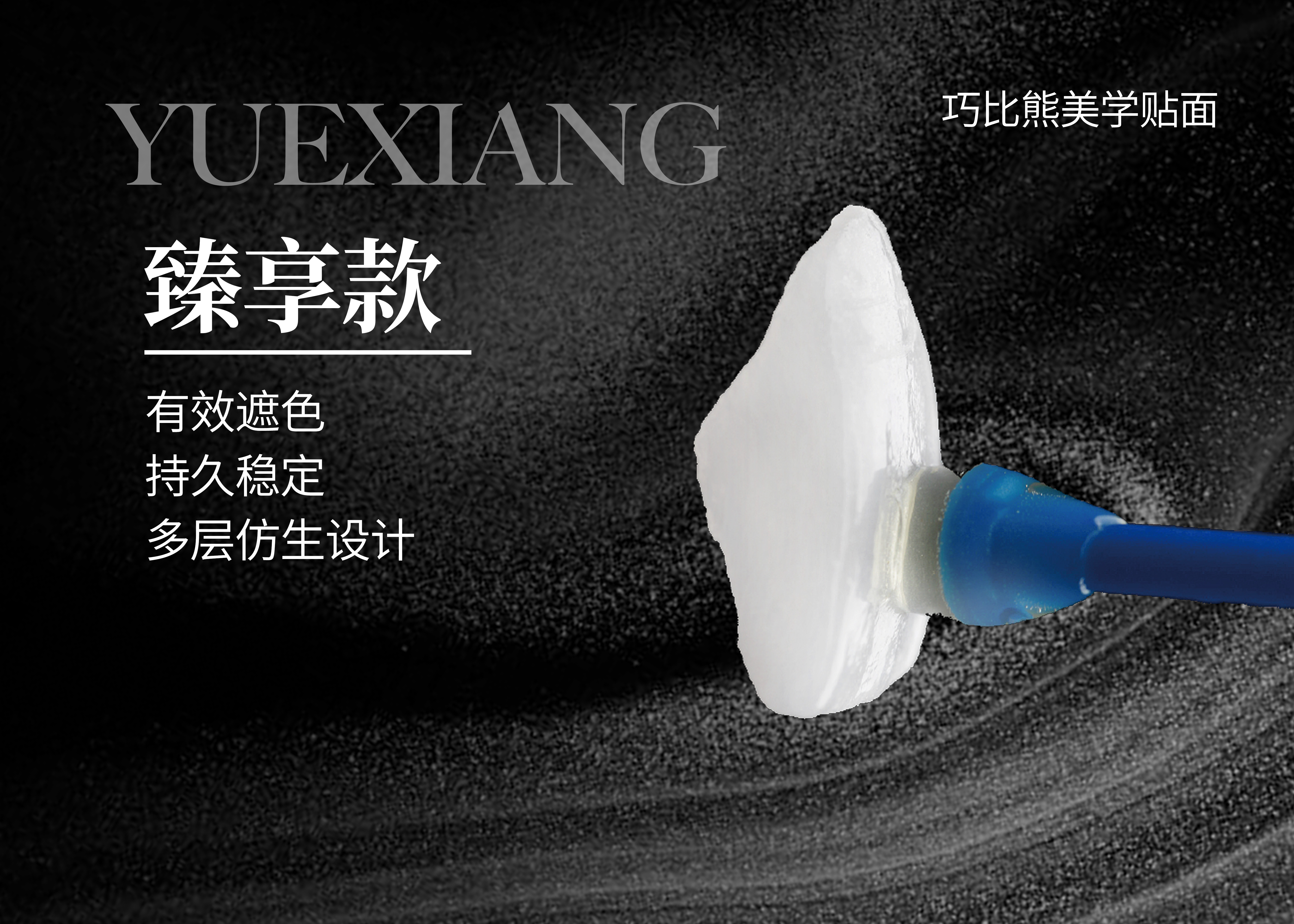 巧比熊美学瓷片（臻享）